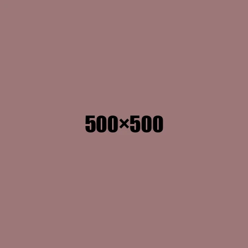 image de remplacement 500 × 500