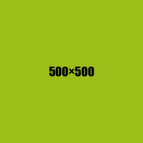 image de remplacement 500 × 500