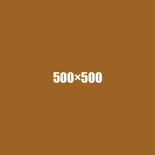 image de remplacement 500 × 500