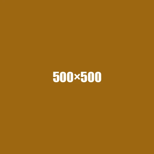 image de remplacement 500 × 500