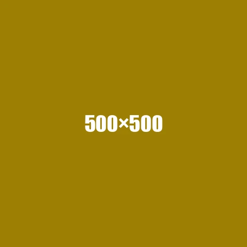 image de remplacement 500 × 500