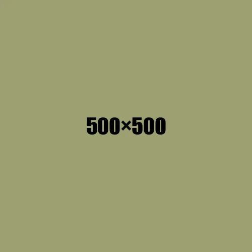 image de remplacement 500 × 500