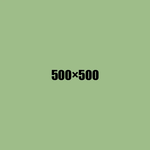 image de remplacement 500 × 500