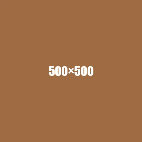 image de remplacement 500 × 500