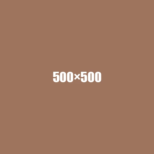 image de remplacement 500 × 500