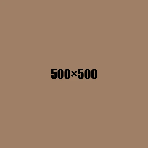 image de remplacement 500 × 500