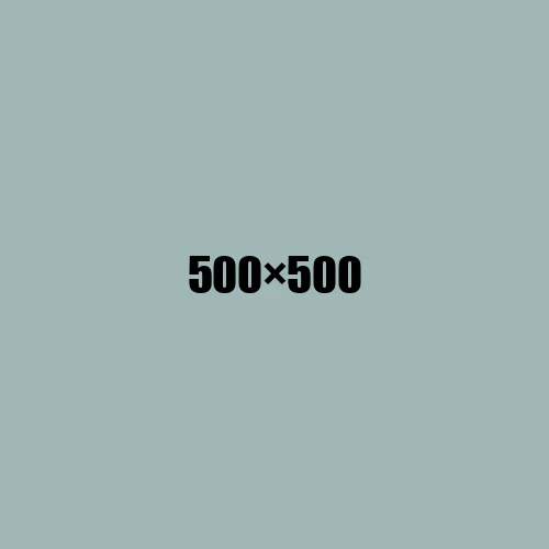 image de remplacement 500 × 500