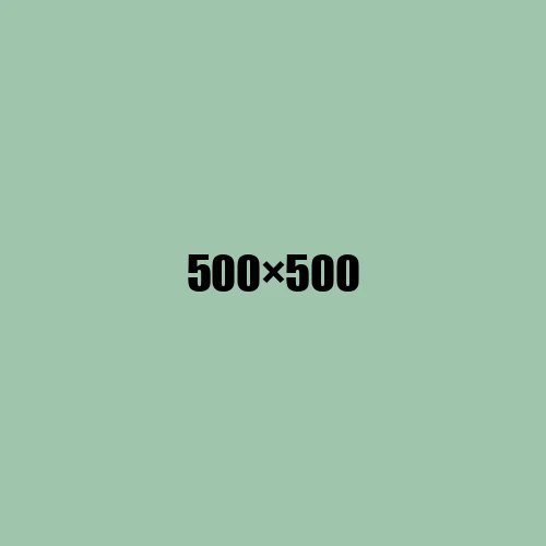 image de remplacement 500 × 500