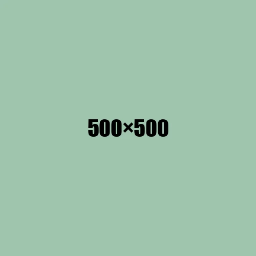 image de remplacement 500 × 500