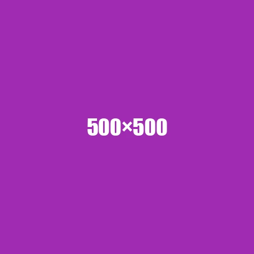 image de remplacement 500 × 500