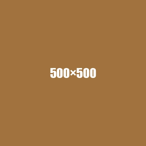image de remplacement 500 × 500