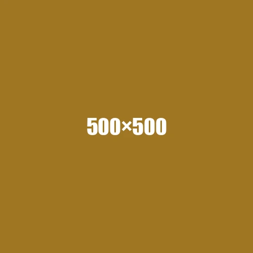 image de remplacement 500 × 500