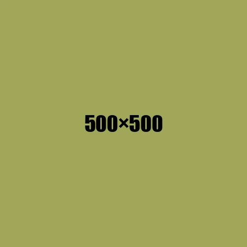 image de remplacement 500 × 500