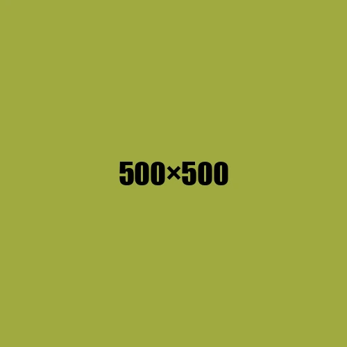 image de remplacement 500 × 500