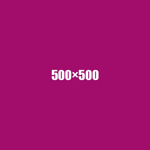 image de remplacement 500 × 500