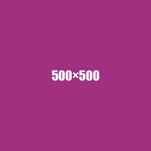 image de remplacement 500 × 500