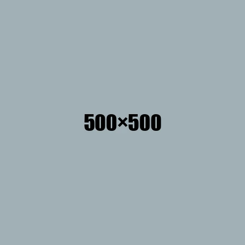 image de remplacement 500 × 500