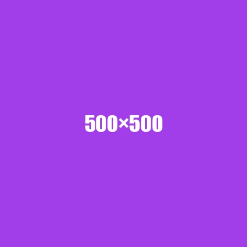 image de remplacement 500 × 500