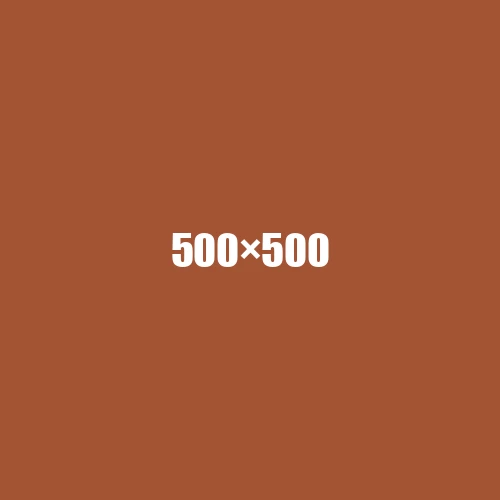 image de remplacement 500 × 500