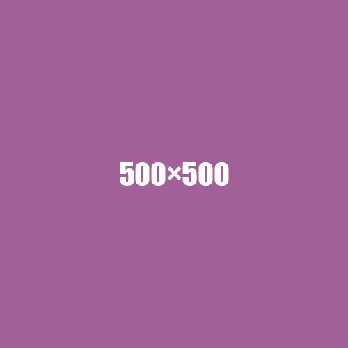 image de remplacement 500 × 500