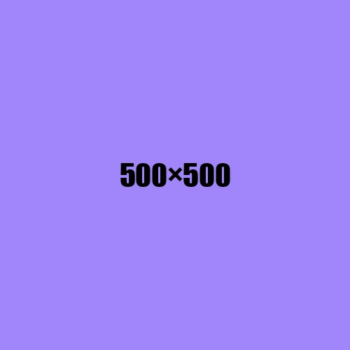 image de remplacement 500 × 500