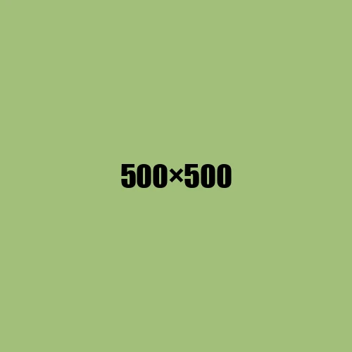 image de remplacement 500 × 500