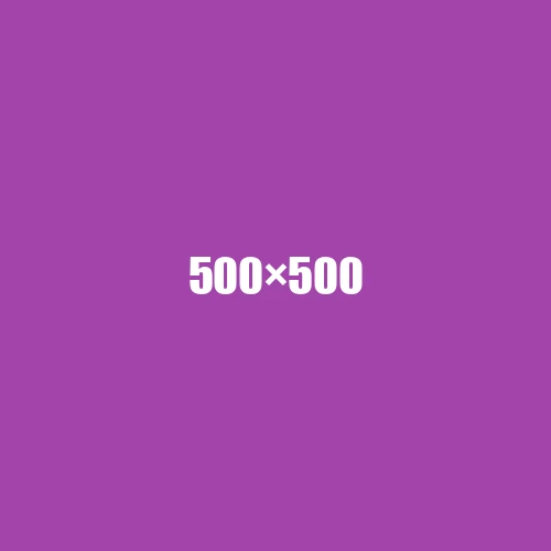 image de remplacement 500 × 500