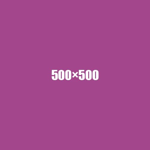 image de remplacement 500 × 500