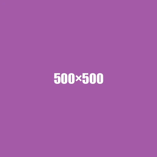 image de remplacement 500 × 500