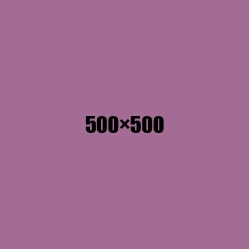 image de remplacement 500 × 500