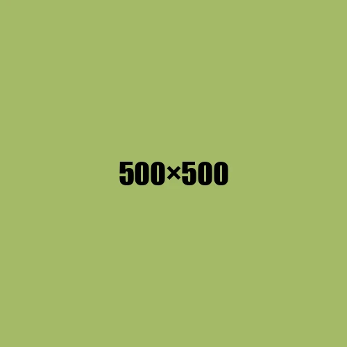 image de remplacement 500 × 500