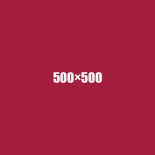 image de remplacement 500 × 500
