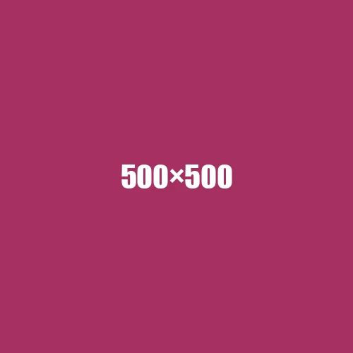 image de remplacement 500 × 500