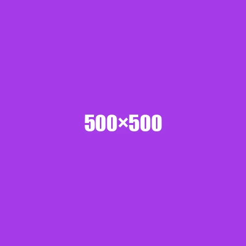 image de remplacement 500 × 500