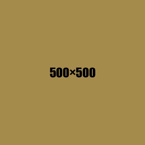 image de remplacement 500 × 500