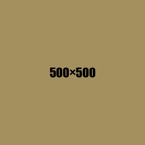 image de remplacement 500 × 500