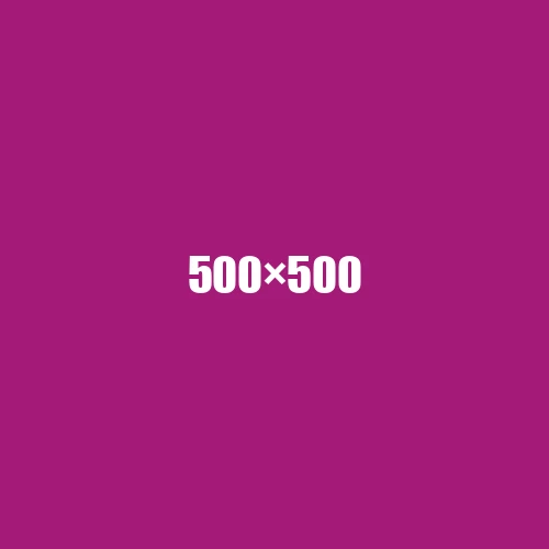 image de remplacement 500 × 500