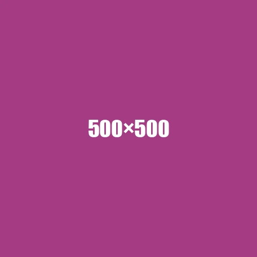 image de remplacement 500 × 500