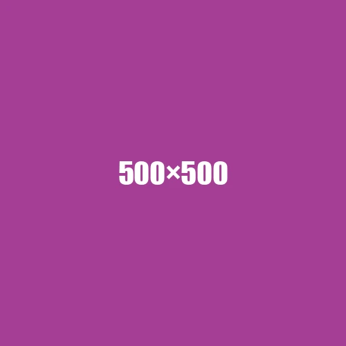 image de remplacement 500 × 500
