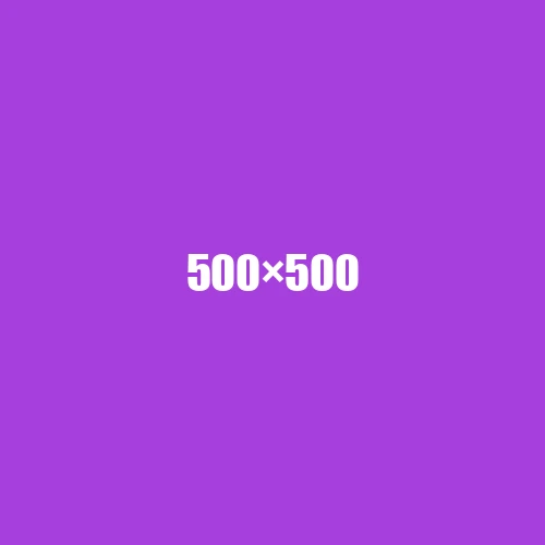 image de remplacement 500 × 500
