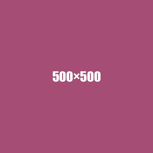 image de remplacement 500 × 500