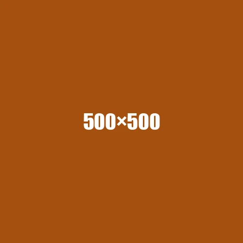 image de remplacement 500 × 500