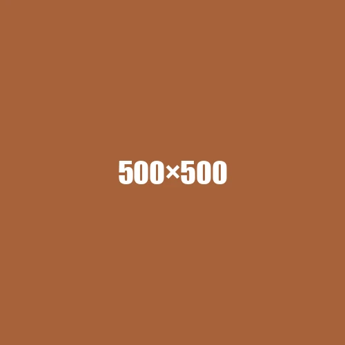 image de remplacement 500 × 500