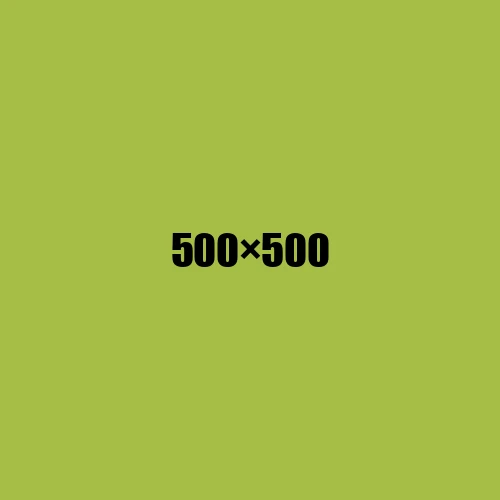 image de remplacement 500 × 500