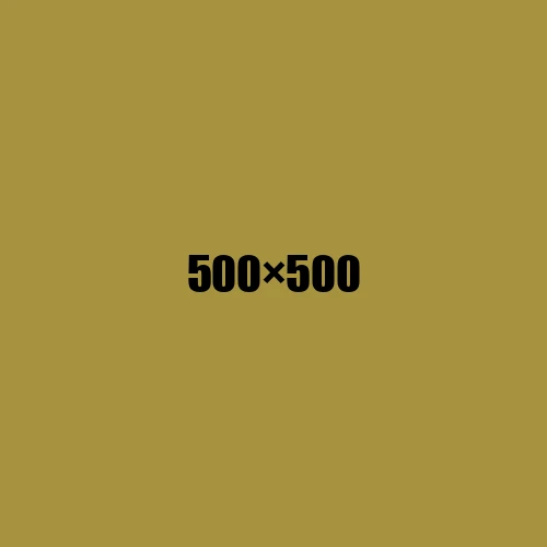 image de remplacement 500 × 500