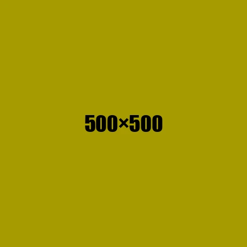 image de remplacement 500 × 500