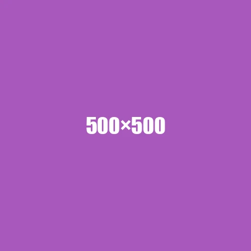 image de remplacement 500 × 500