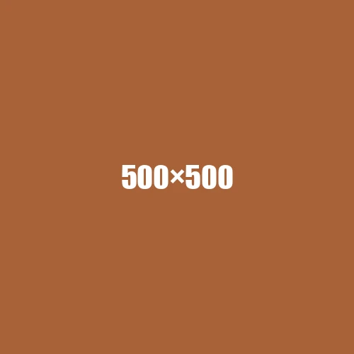 image de remplacement 500 × 500