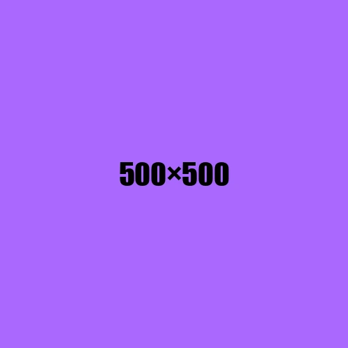 image de remplacement 500 × 500