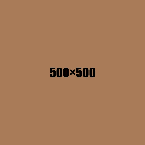 image de remplacement 500 × 500